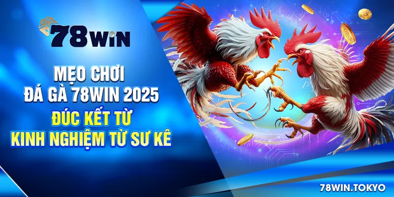 Mẹo Chơi Đá Gà 78WIN 2025 - Đúc Kết Từ Kinh Nghiệm Từ Sư Kê
